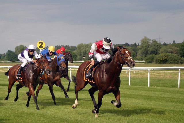 Betting Platforms