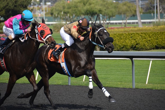 Betting Platforms